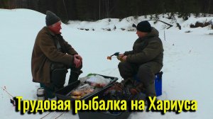 Трудовая рыбалка на Хариуса. Не тот размер, но радовали они нас всю рыбалку.