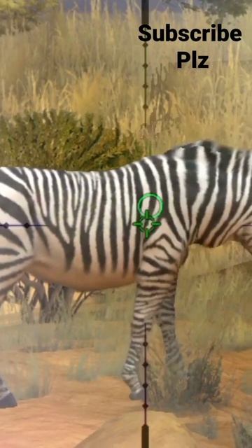 Zebra Hunting Clash #shorts #funny #viralvideo #shorts смотреть онлайн