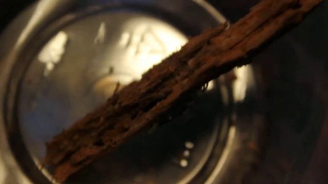 Hemiscolopendra marginata From NC смотреть онлайн