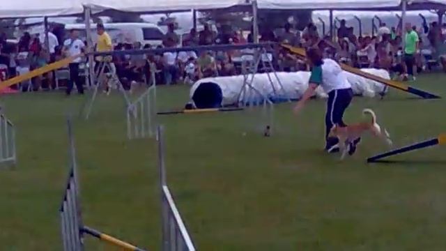 Vanessa & Cocota - 10ª Et. XII BR - G1, P2 - 4ª ESTRELA! смотреть онлайн