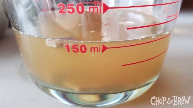 Chop & Brew Update | June 23, 2019 смотреть онлайн