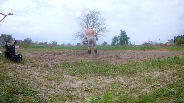 My Animals (Part 2) Мої тварини (Частина 2) смотреть онлайн