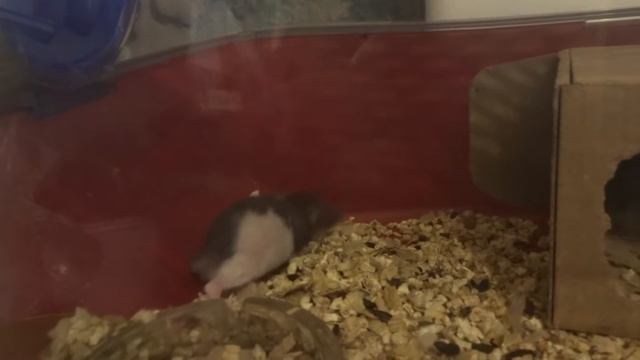 00012 смотреть онлайн