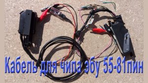 Кабель для программирования эбу 55-81 пин