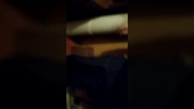 VID 20200210 081459 1 смотреть онлайн