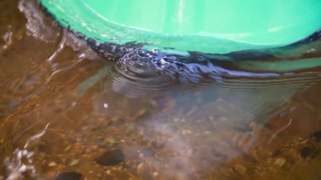 Flussperlmuscheln - ein Gedicht von Hansjörg Zauner (2017) - Sonderedition смотреть онлайн