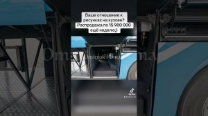 🚌 ГОЛУБАЯ ДОРОГА. Осталось 2 баса по 15 900 000 р. Специальный дизайн на кузове)