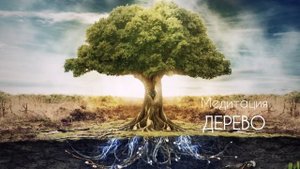Медитация от стресса и тревожности «Дерево»