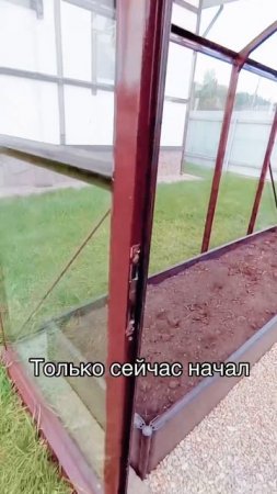 КРАСОТА ТЕПЛИЦА ЛЕГЕНДА