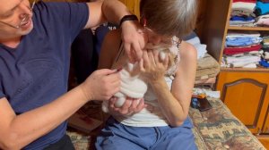 Витаминки щенкам бульдогов