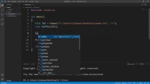 C reading files 🔎