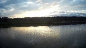 охота на уток осенью