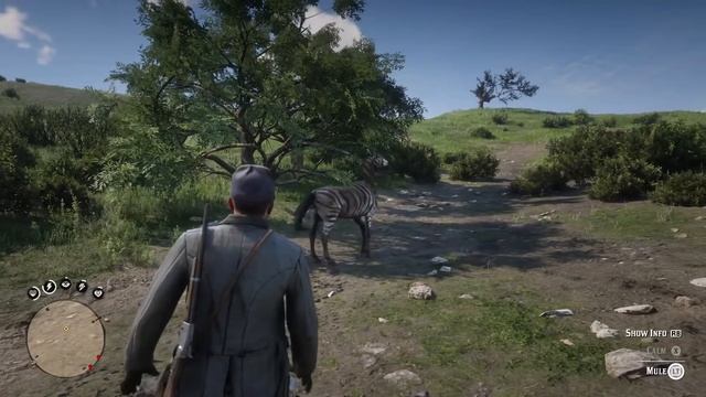 Riding a “zebra” in RDR2 - ‘He’s British Of Course’ mission смотреть онлайн