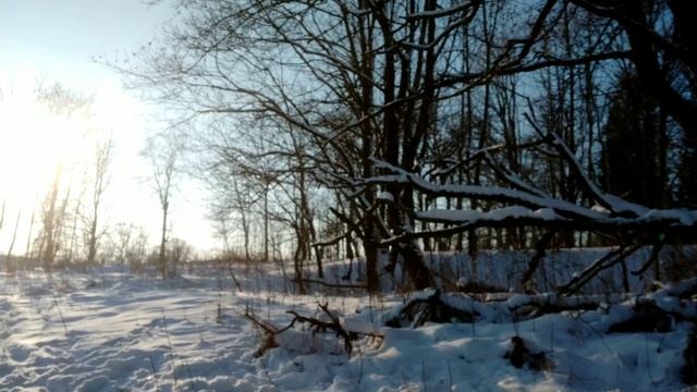 Video.Guru_20250207_164919881.mp4