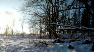 Video.Guru_20250207_164919881.mp4