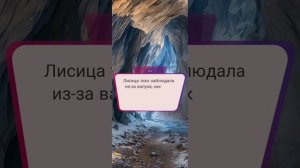 Лисица Аста. Эпизод 10. Сезон 1 🦊 MY WAY