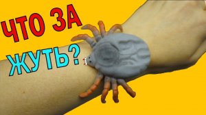 Игуаны, ящерицы, насекомые & КО. Открываем сюрпризы ДеАгостини