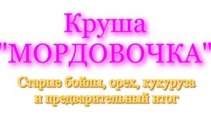 Круша "Мордовочка" первая работа с бойлами, орехом