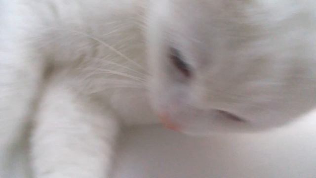 Очередная погода в Гусе) Ч. 3 смотреть онлайн