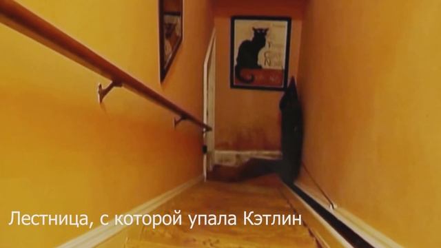 История семьи Питерсонов. Часть 2. смотреть онлайн