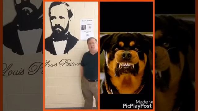 Louis Pasteur смотреть онлайн