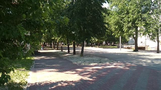 Пух кружится,летает,летаает!