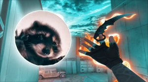 PEDRO PEDRO PEDRO! ❤️