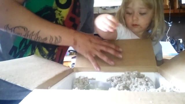 Imperial Tropicals un boxing смотреть онлайн