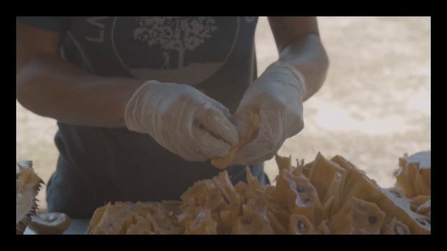 CultureFest 305: Tropical Fruit Farming with LNB Groves and Edible South Florida