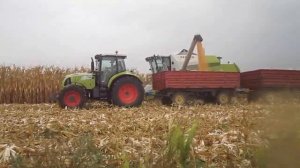 Claas Tucano 430 corn harvest