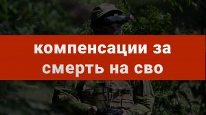 Компенсации за смерть на СВО: кто получит и сколько выплатят?