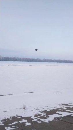 Солнце и мороз
