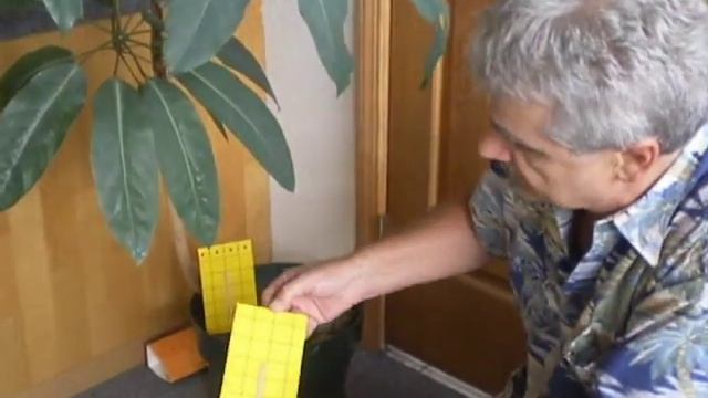 Aphid/Whitefly Trap Setup and Use by SpringStar смотреть онлайн