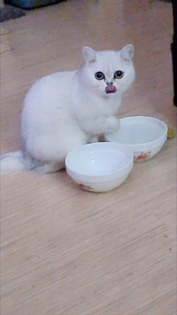 21 февраля 2022 г. смотреть онлайн