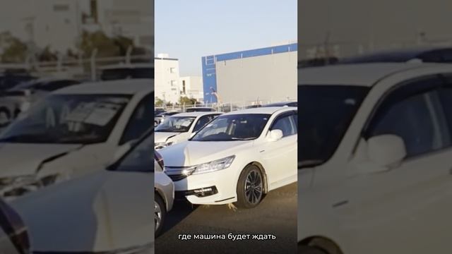 Этапы покупки авто из Японии - JAS