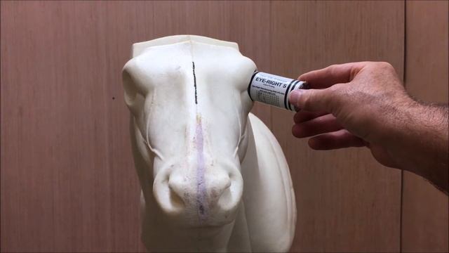 Fast Tracking with Eye-Right Mini-Pro смотреть онлайн