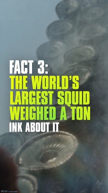 Meg 2: The Trench | Meg Shark Facts | Warner Bros. Entertainment #meg2 смотреть онлайн