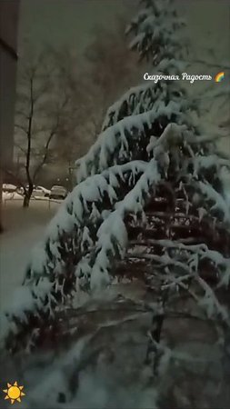 Елочка 🌲 в снегу ❄️ красота!
