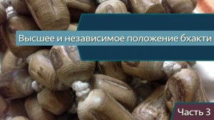 Высшее и независимое положение бхакти, часть 3 — Бхакти Викаша Свами