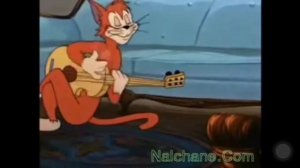 Сюй меня, сюйгеним (люби меня, любимая) ЗАГИР МАГОМЕДОВ