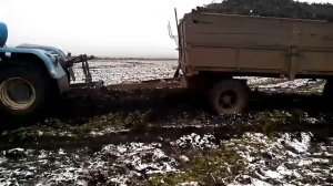 Уборка свеклы