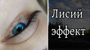 Лисий эффект. Схема