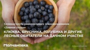 4 сезон 8 семинар. Клюква, брусника, голубика и другие лесные обитатели на дачном участке