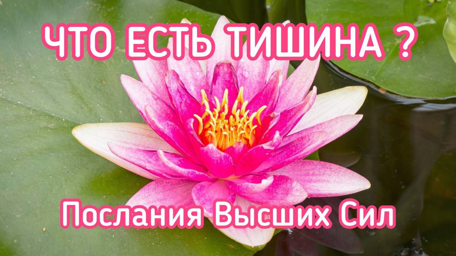 ЧТО ЕСТЬ ТИШИНА?  ПОСЛАНИЯ ВЫСШИХ СИЛ