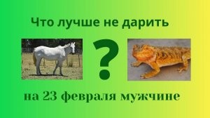 5 причин ничего не дарить 23 февраля