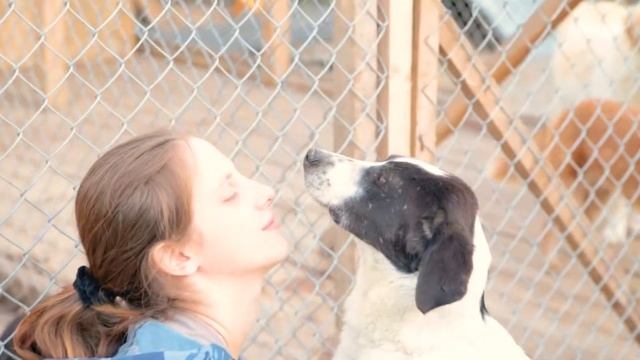 Зверополис (Пробное видео) смотреть онлайн