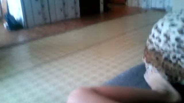 Мини кошка смотреть онлайн