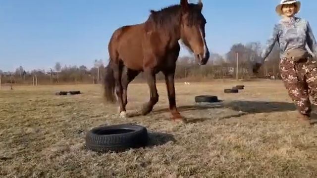 Бежим вместе! смотреть онлайн