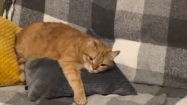 Неизвестный красивенький исполнитель номер 3 смотреть онлайн