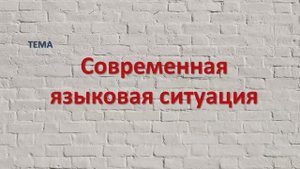 Современная языковая ситуация.wmv